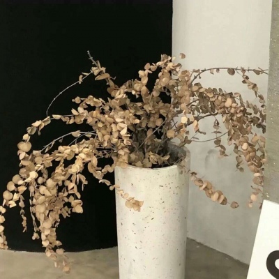 丁青FurryQQ群介绍